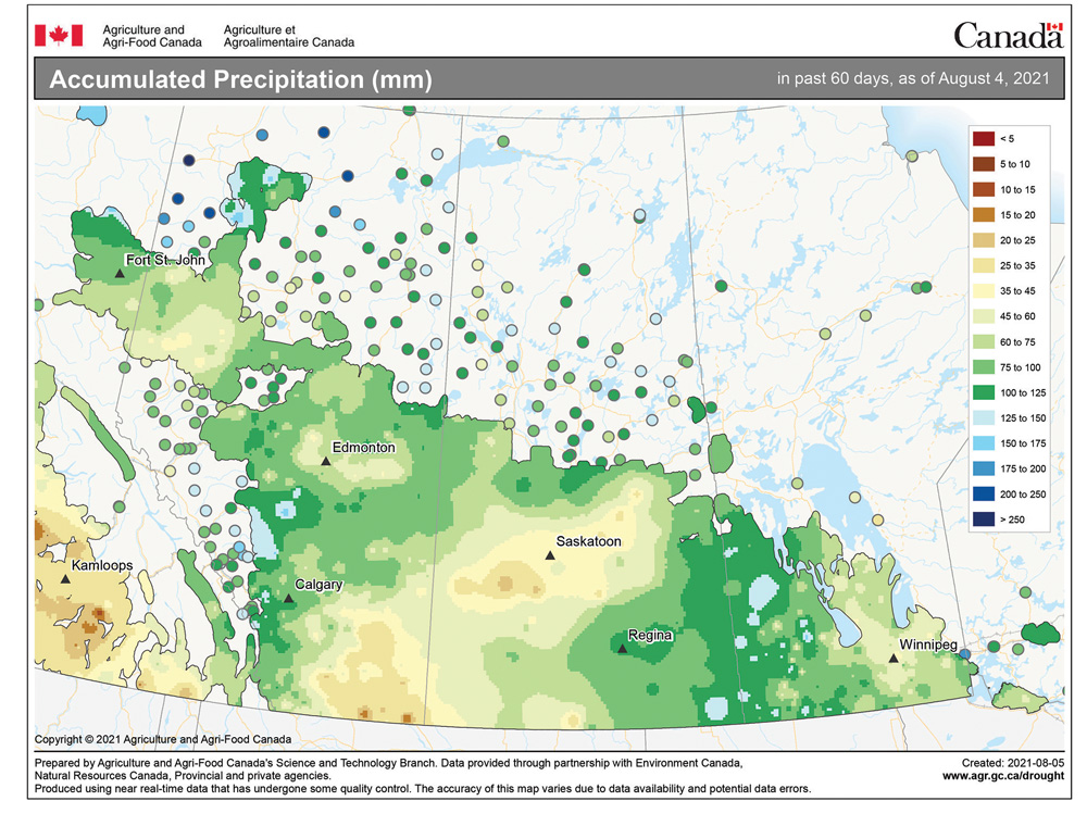 This map shows the 60-day accumulated precipitation across the Prairies ending on August 4. Looking at the map you can see that the border region between Saskatchewan and Manitoba has received the greatest amount of rain with most areas seeing between 75 and 125 mm. You can also see the nature of thunderstorm precipitation, with spotty areas reporting upwards of 150 mm.