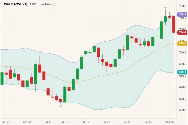 CBOT September 2021 wheat (candlesticks) with Bollinger bands (20,2). (Barchart)
