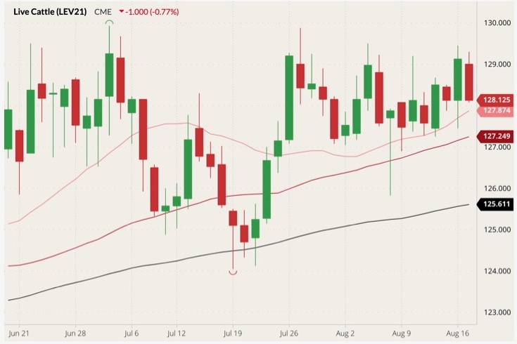 CME October 2021 live cattle (candlesticks) with 20-, 50- and 100-day moving averages (pink, dark red and black lines). (Barchart)
