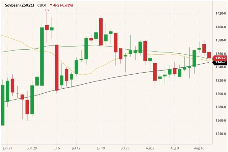 CBOT November 2021 soybeans (candlesticks) with 20-, 50- and 100-day moving averages (yellow, green and black lines). (Barchart)
