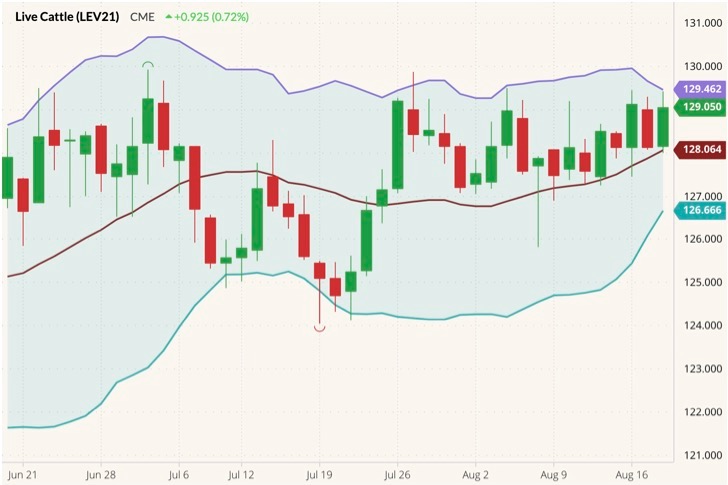 CME October 2021 live cattle (candlesticks) with Bollinger bands (20,2). (Barchart)
