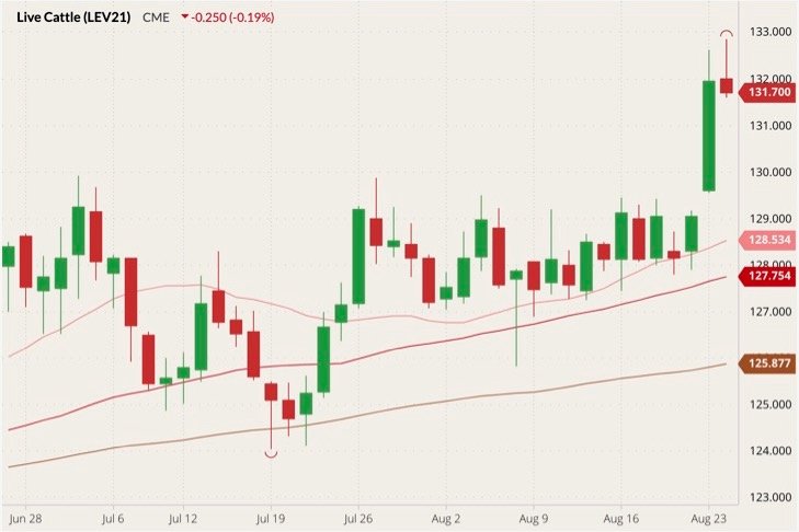 CME October 2021 live cattle (candlesticks) with 20-, 50- and 100-day moving averages (pink, red and brown lines). (Barchart)
