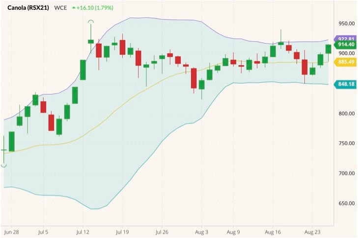 ICE November 2021 canola (candlesticks) with Bollinger bands (20,2). (Barchart)
