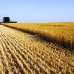 A recent crop report indicates harvest yields so far this year vary from less than half of normal to normal.