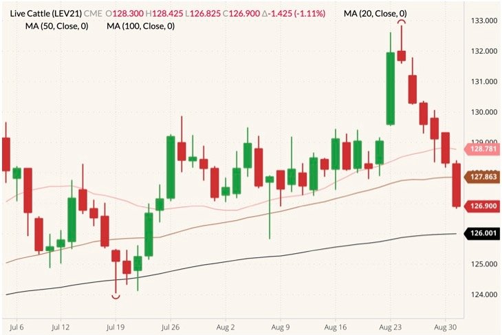 CME October 2021 live cattle (candlesticks) with 20-, 50- and 100-day moving averages (pink, brown and black lines). (Barchart)
