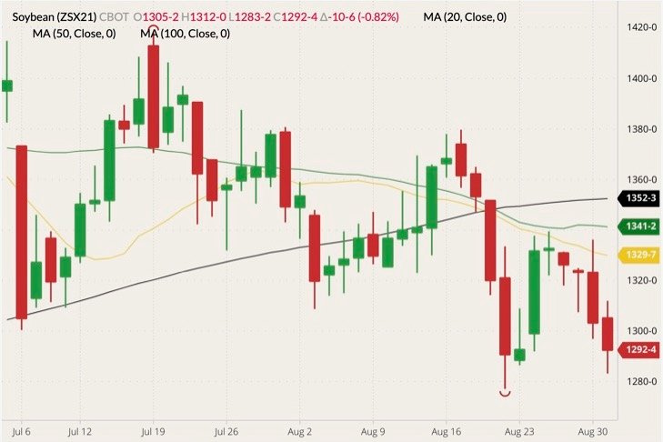 CBOT November 2021 soybeans (candlesticks) with 20-, 50- and 100-day moving averages (yellow, green and black lines). (Barchart)
