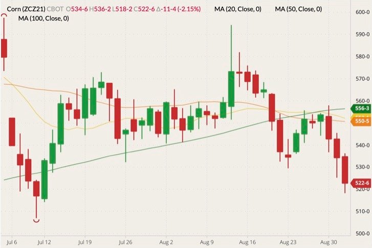 CBOT December 2021 corn (candlesticks) with 20-, 50- and 100-day moving averages (yellow, orange and green lines). (Barchart)
