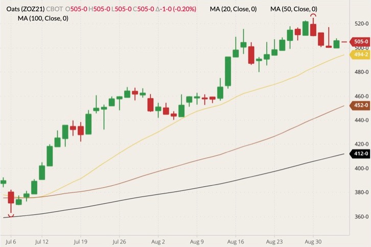 CBOT December 2021 oats (candlesticks) with 20-, 50- and 100-day moving averages (yellow, brown and black lines). (Barchart)
