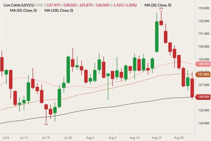 CME October 2021 live cattle (candlesticks) with 20-, 50- and 100-day moving averages (pink, brown and black lines). (Barchart)
