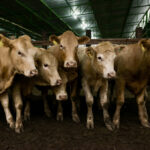 JGL opens shop in Manitoba