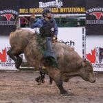 A rider holds on, hoping to reach eight seconds.