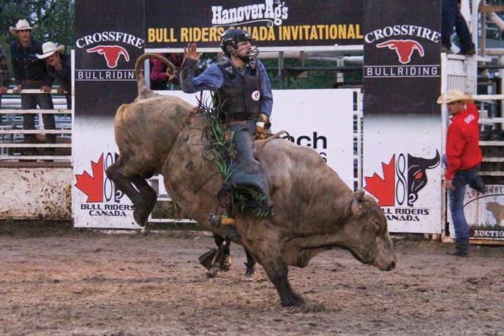 A rider holds on, hoping to reach eight seconds.