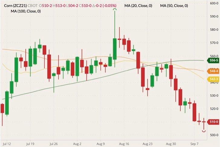 CBOT December 2021 corn (candlesticks) with 20-, 50- and 100-day moving averages (yellow, orange and dark green lines). (Barchart)

