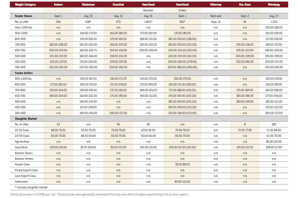 Traffic remains lighter at Manitoba auction marts