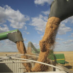 Manitoba crop yields lead the prairie pack