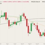 CBOT November 2021 soybeans (candlesticks) with 20-, 50- and 100-day moving averages (yellow, green and black lines). (Barchart)

