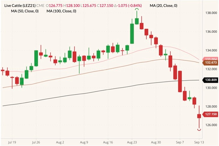 CME December 2021 live cattle (candlesticks) with 20-, 50- and 100-day moving averages (pink, brown and black lines). (Barchart)
