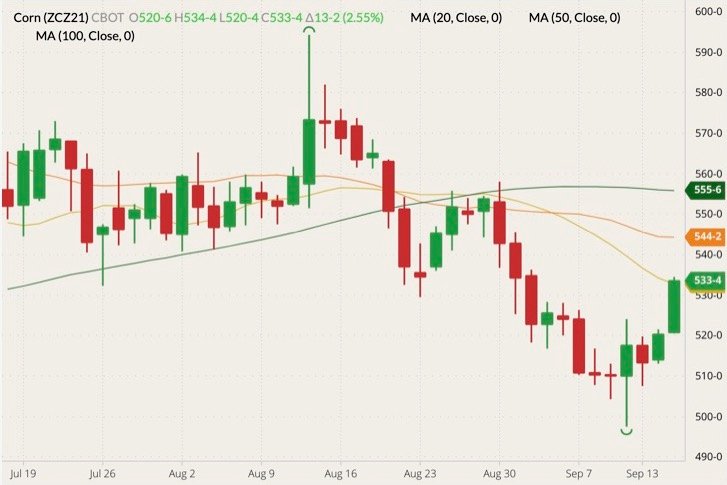 CBOT December 2021 corn (candlesticks) with 20-, 50- and 100-day moving averages (yellow, orange and dark green lines). (Barchart)

