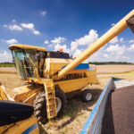 Consensus in the grain trade suggests StatsCan’s latest estimate predicting a 14.7-million-tonne canola crop this year will turn out to be generous in hindsight.