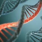 Plant developers (mostly large biotech companies) will decide for themselves whether their product meets the criteria for regulation.