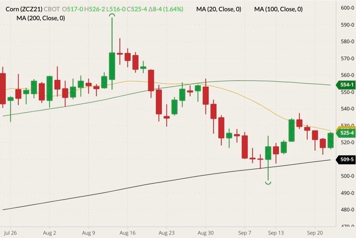 CBOT December 2021 corn (candlesticks) with 20-, 100- and 200-day moving averages (yellow, green and black lines). (Barchart)
