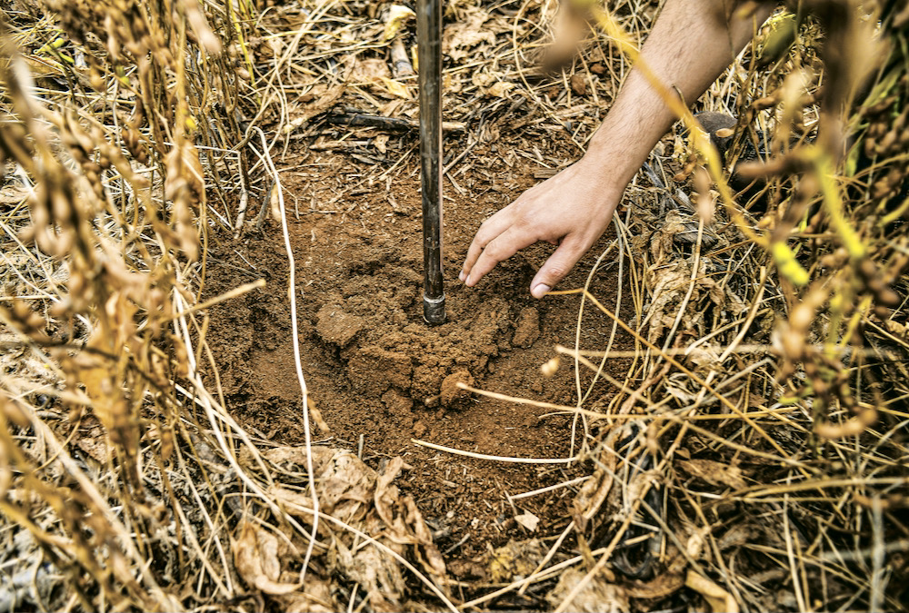 The humble soil test is your best bet this fall for better nutrient management after a drought.
