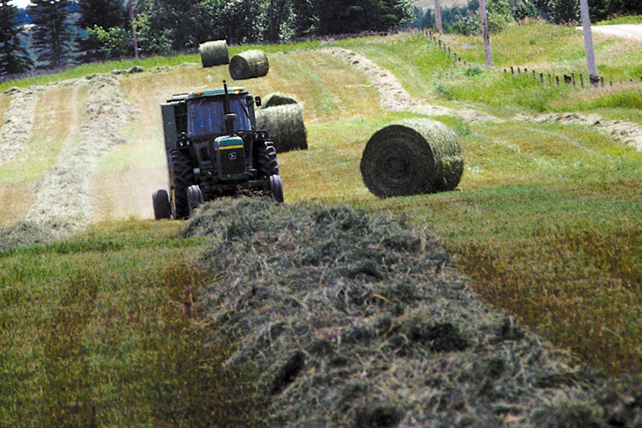 Hay West gets funds to ship more bales