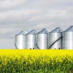 Most farmers, because of the production risk, will only price a portion of their crop until it’s in the bin.