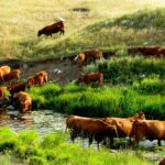 Funding window to open for farm water infrastructure