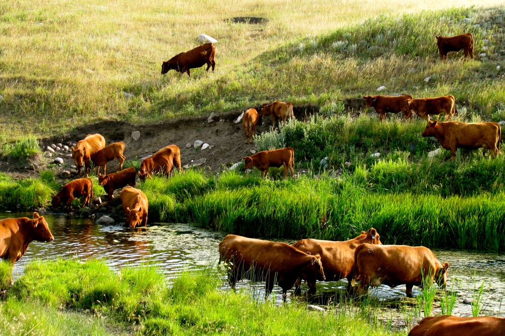 Funding window to open for farm water infrastructure