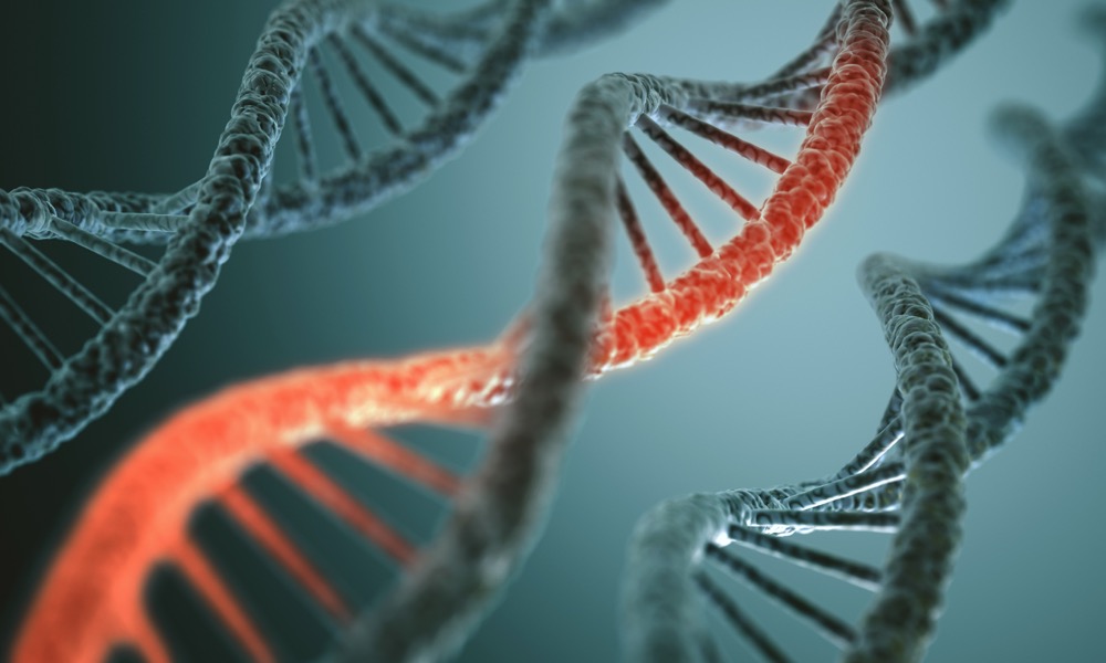 Scientists around the world have demonstrated the use of gene editing tools is as safe as any of the methods that have been used for thousands of years.