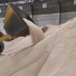 Granulated fertilizer can volatilize until it’s washed into the soil profile by rainfall.