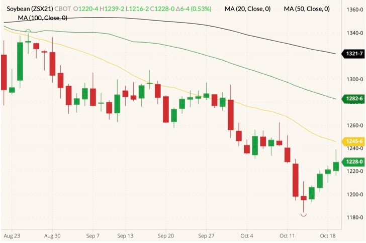 CBOT November 2021 soybeans (candlesticks) with 20-, 50- and 100-day moving averages (yellow, green and black lines). (Barchart)

