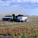 Potato digging went relatively smoothly this year, but drought and high temperatures caused disappointing yields.