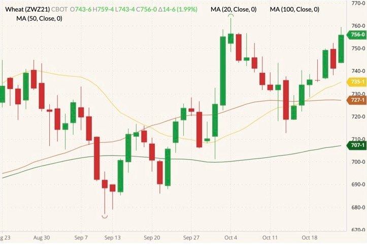 CBOT December 2021 wheat (candlesticks) with 20-, 50- and 100-day moving averages (yellow, brown and dark green lines). (Barchart)

