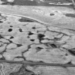 Millions of small depressions across the Prairie landscape capture precipitation and enable infiltration.