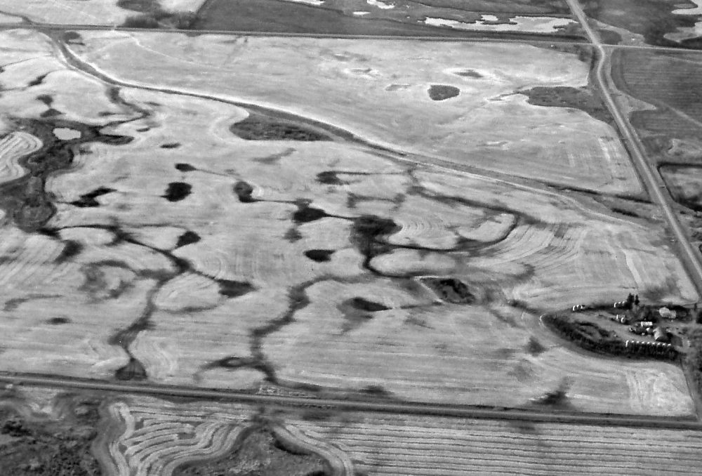 Millions of small depressions across the Prairie landscape capture precipitation and enable infiltration.