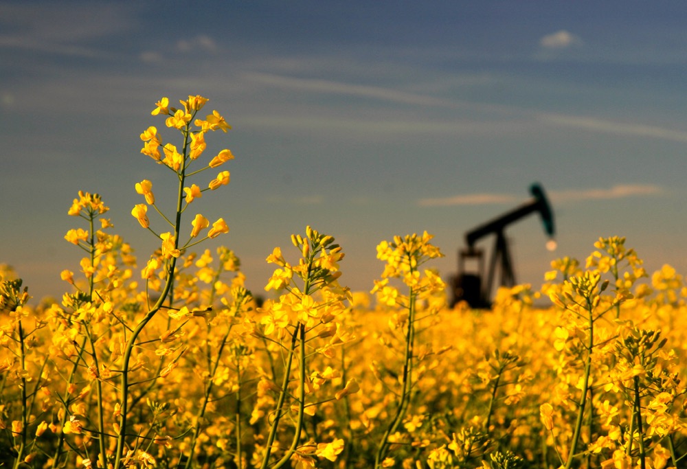 Photo: iStock
