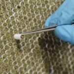 (Hexo Corp video screengrab via YouTube)
