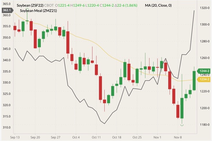 CBOT January 2022 soybeans (candlesticks) with 20-day moving average (yellow line) and December 2021 soymeal (black line, left column). (Barchart)
