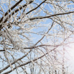 Getting more than 30 cm of snow in one day is extremely rare.