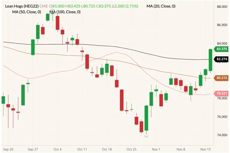 CME February 2022 lean hogs (candlesticks) with 20-, 50- and 100-day moving averages (pink, brown and black lines). (Barchart)
