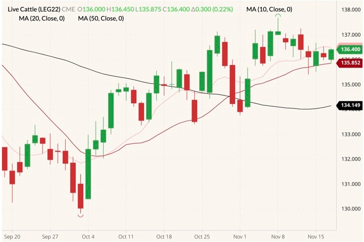 CME February 2022 live cattle (candlesticks) with 10-, 20- and 50-day moving averages (pink, dark red and black lines). (Barchart)
