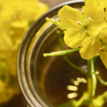 According to industry sources, markets for canola oil and meal are still profitable despite what publicly reported canola margins suggest.