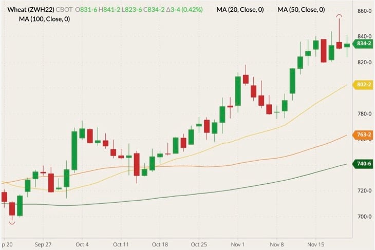 CBOT March 2022 wheat (candlesticks) with 20-, 50- and 100-day moving averages (yellow, orange and dark green lines). (Barchart)
