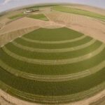 An aerial view of native grass buffer strips between sections in a field at New Mexico State University, pictured here in 2018.