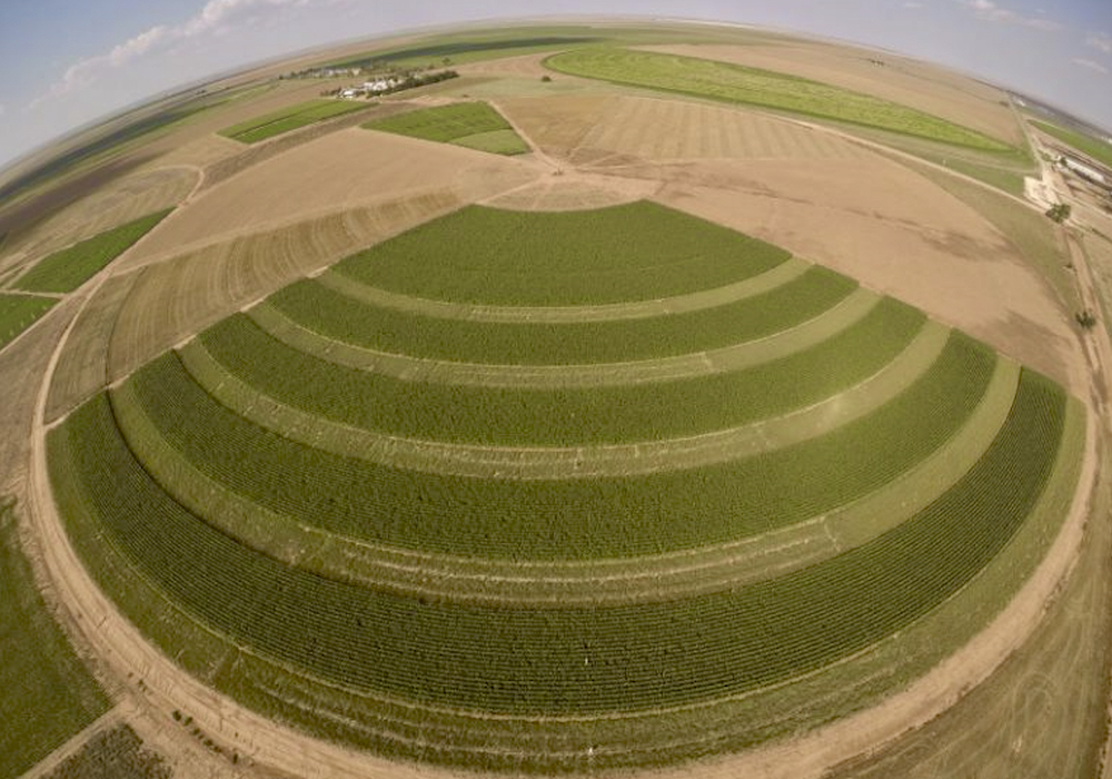 An aerial view of native grass buffer strips between sections in a field at New Mexico State University, pictured here in 2018.