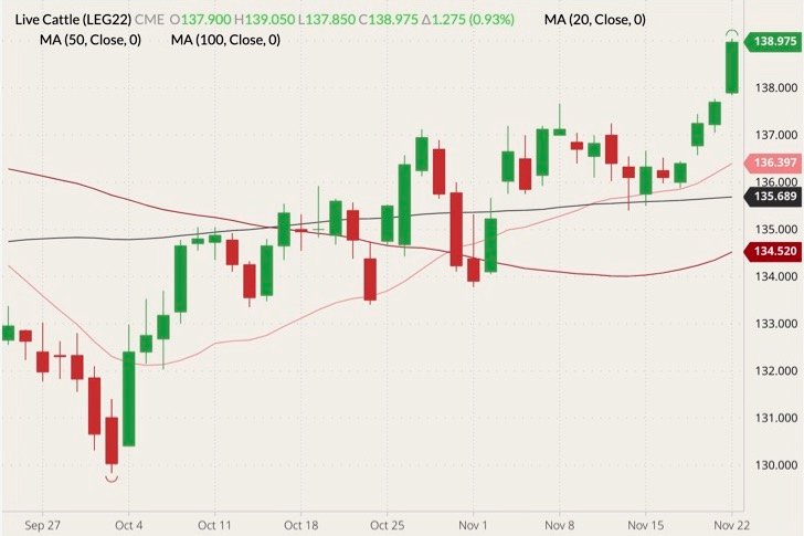 CME February 2022 live cattle (candlesticks) with 20-, 50- and 100-day moving averages (pink, dark red and black lines). (Barchart)
