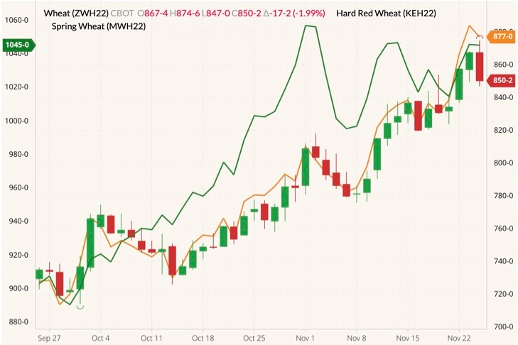 CBOT March 2022 wheat (candlesticks) with K.C. March 2022 wheat (orange line) and MGEX March 2022 wheat (green line, left column). (Barchart)
