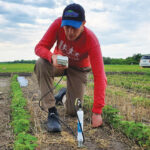 Callum Morrison takes moisture readings in a soybean cash crop that is part of a long-term cover cropping field trial in Carman.